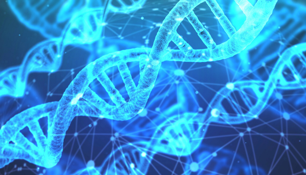 La sequenza completa di nucleotidi che compone il patrimonio genetico è stata completata