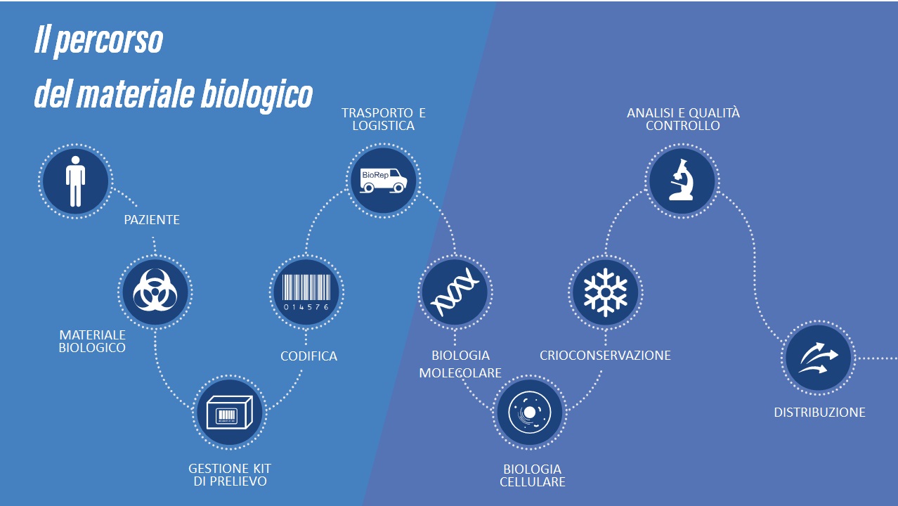 Percorso-materiale-Biologico
