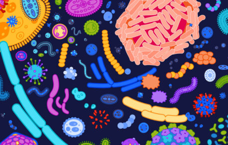 Giornata Mondiale del Microbioma – Nozioni uniche sul microbioma e sui batteri intestinali
