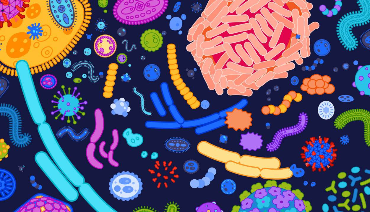 Giornata Mondiale del Microbioma – Nozioni uniche sul microbioma e sui batteri intestinali