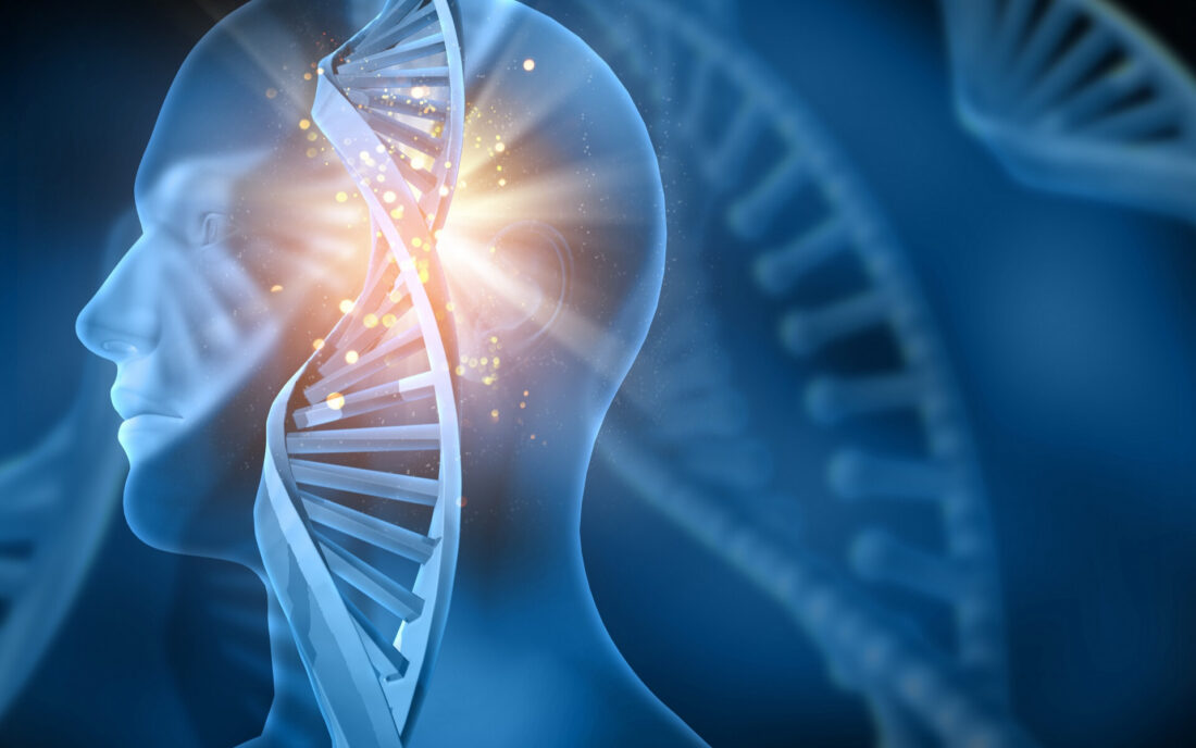 Il genere umano è ancora in evoluzione?