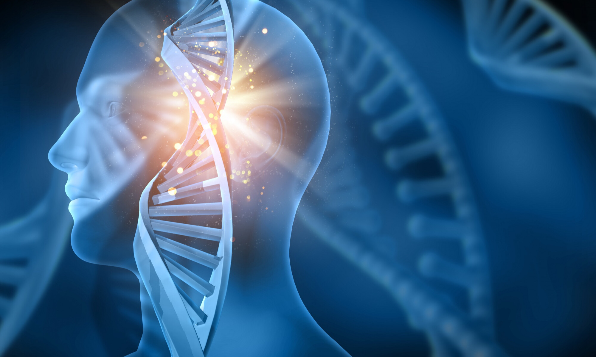 Il genere umano è ancora in evoluzione?