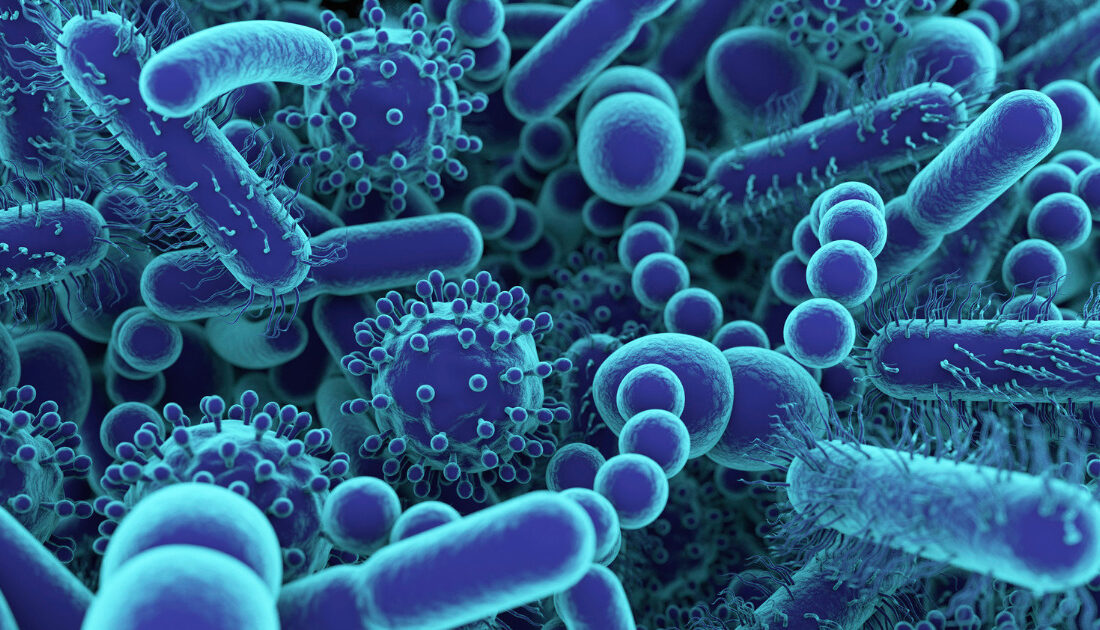 Come celebrare la Giornata mondiale del Microbiota? Inizia conoscendo il tuo!