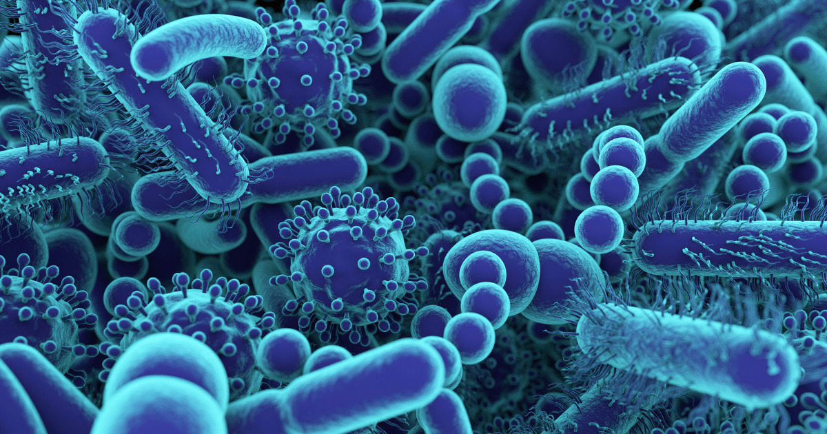 Come celebrare la Giornata mondiale del Microbiota? Inizia conoscendo il tuo!
